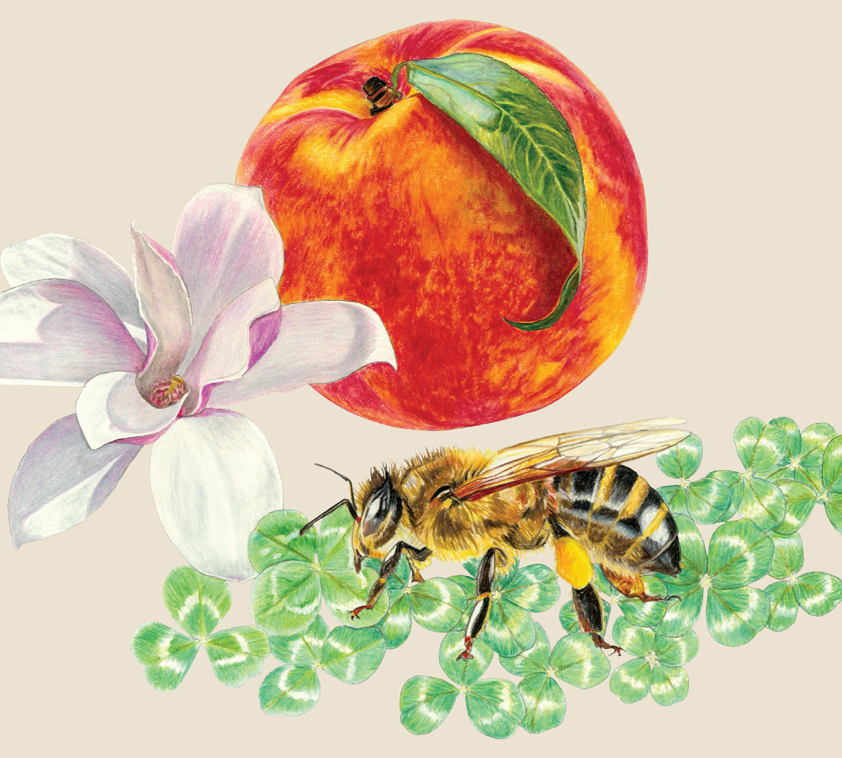 Spring 1990 (The Other One)